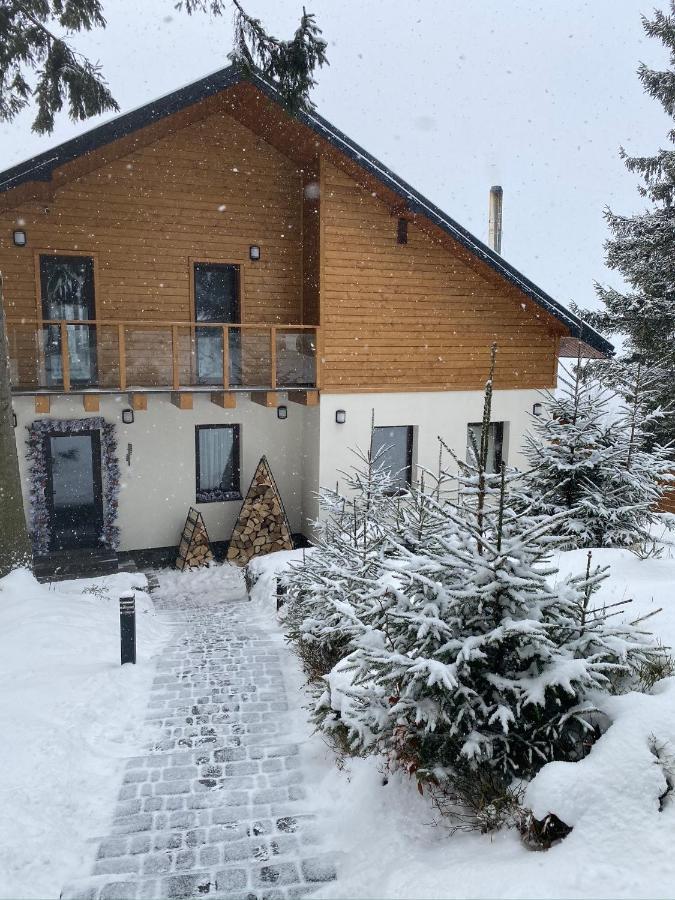 Gogodz Chalet Resort Yablunytsya Exterior foto